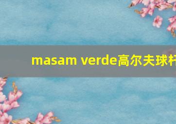 masam verde高尔夫球杆